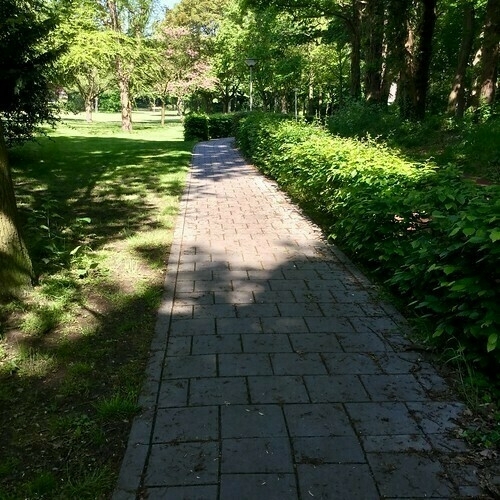 Oscar van Hemelpark